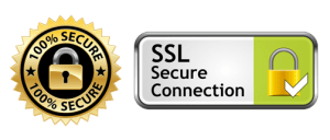 Ssl secure connection