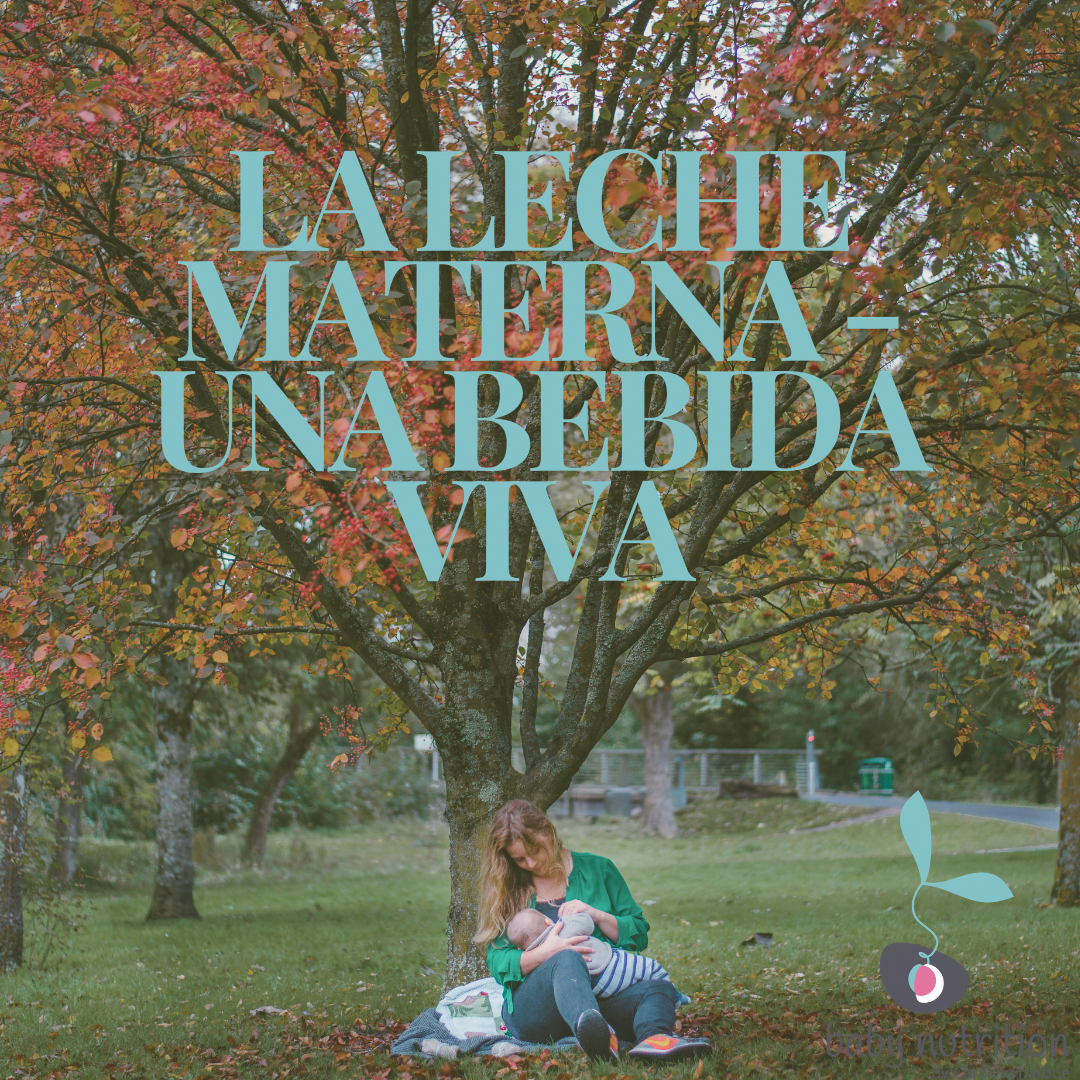 Lactancia materna - una bebida viva